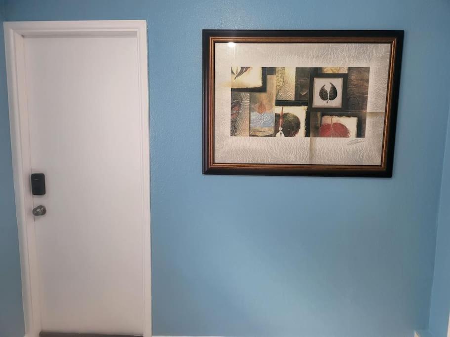Entire Home By Siesta Key/Closed To Downtown Sarasota Eksteriør billede